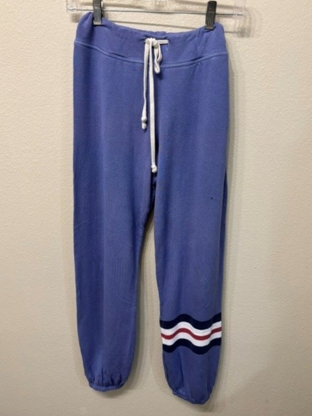Sundry Women's Bluish Purple Joggers - Size S